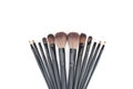 Brushes set for professional makeup artist Royalty Free Stock Photo