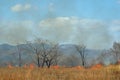 Brushfire 20 Royalty Free Stock Photo