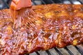 Brushing Barbecue Sauce on a Rack of Baby Back Rib