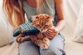 Brushing cat with glove to remove pets hair. Woman taking care of animal combing it with hand rubber glove at home