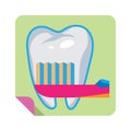 brushing tooth. Vector illustration decorative design