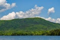 Brushy Mountain and Carvins Cove Natural Reserve