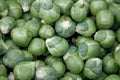 Brussel sprout