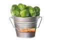 A tin bucket of fresh picked Brussel sprouts