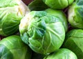 Brussel sprouts Royalty Free Stock Photo
