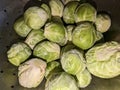 Brussel Sprouts