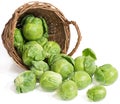 Brussel sprouts ( brassica oleracea L.) Royalty Free Stock Photo