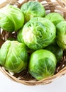 Brussel sprouts Royalty Free Stock Photo