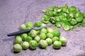 Brussel sprouts prepared and ready to cook. Royalty Free Stock Photo