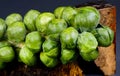 Brussel Sprouts Stalk. Royalty Free Stock Photo