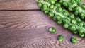 Brussel sprouts on a stalk on a wooden table Royalty Free Stock Photo