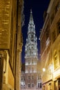 Brussel Town hall night closeup Royalty Free Stock Photo