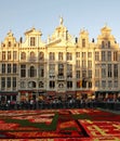 Brussels Belgium Flower Carpet Festival Grand Place Royalty Free Stock Photo