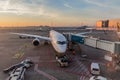 BRUSSELS, BELGIUM - NOV 4, 2018: Sunrise view of an airplane at Brussels Airport, Belgi