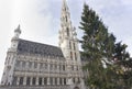 Brussels town building with tall christmas tree on sunny winter day