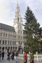 Brussels town hall building with high christmas three on sunny sunset winter