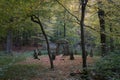 Foresters memorial in Sonian forest Royalty Free Stock Photo