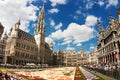 Brussels Flower Carpet 2016 Royalty Free Stock Photo