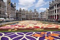 Brussels Flower Carpet 2016 Royalty Free Stock Photo