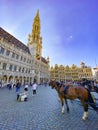 Brussels Grand place square, Belgium Royalty Free Stock Photo