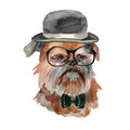 Brussels griffon dog - hand painted, isolated on white background watercolor hipster dog portrait