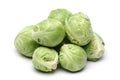 Brussels Sprout Royalty Free Stock Photo