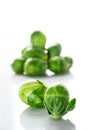 Brussels sprout Royalty Free Stock Photo