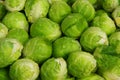 Brussels sprout Royalty Free Stock Photo