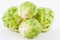 Brussels sprout Brassica oleracea var. gemmifera Royalty Free Stock Photo
