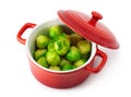 Brussels sprout and herbs in the pan Royalty Free Stock Photo