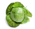 Brussels sprout, isolated on a white background, small depth of sharpness