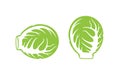 Brussels sprout logo. Isolated brussels sprout on white background