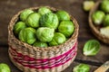 Brussels Sprouts in a Basket Royalty Free Stock Photo
