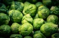 Brussels sprouts Brassica oleracea Royalty Free Stock Photo