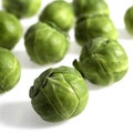 Brussels Sprouts, brassica oleracea, Vegetables against White Background Royalty Free Stock Photo