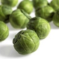 Brussels Sprouts, brassica oleracea, Vegetables against White Background Royalty Free Stock Photo