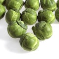 Brussels Sprouts, brassica oleracea, Vegetables against White Background Royalty Free Stock Photo