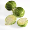 Brussels Sprouts, brassica oleracea, Vegetables against White Background Royalty Free Stock Photo