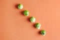 Brussels Sprouts On Bright Orange Background. Seasonal Vegetables In Modern Style Pattern