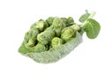 Brussels sprouts compromised Royalty Free Stock Photo