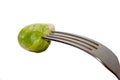 Brussels sprouts on a fork over white background Royalty Free Stock Photo