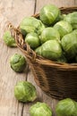 Brussels sprouts after harvest in a basket Royalty Free Stock Photo