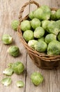 Brussels sprouts after harvest in a basket Royalty Free Stock Photo