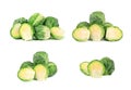 Brussels sprouts isolated on a white background. Pile of Brussels sprouts isolated. Closeup Royalty Free Stock Photo