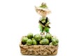 Brussels sprouts with straw doll Royalty Free Stock Photo
