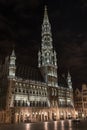 Brussels town hall - Belgium (night shot)