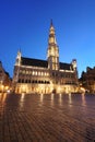 Brussels town hall by night - Belgium