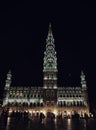 Brussels Town Hall at night