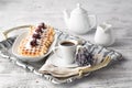 Brussels waffles with blackberries on plate Royalty Free Stock Photo