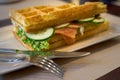 Brussels waffles with smoked salmon and salad Royalty Free Stock Photo